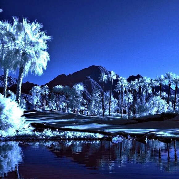 DIABLED POSHER: JG - Picture 2 of 7